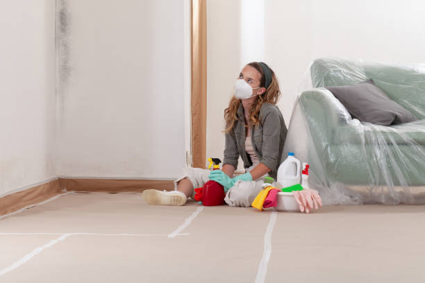 Reliable Mold Remediation contractor in Lakewood, IL by WQB Mold Removal